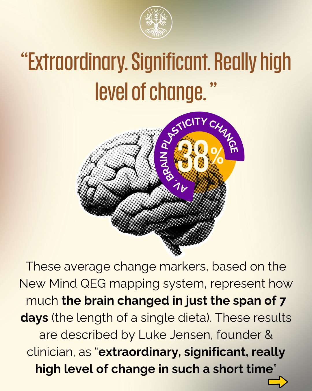 Brain Map - 3.PNG