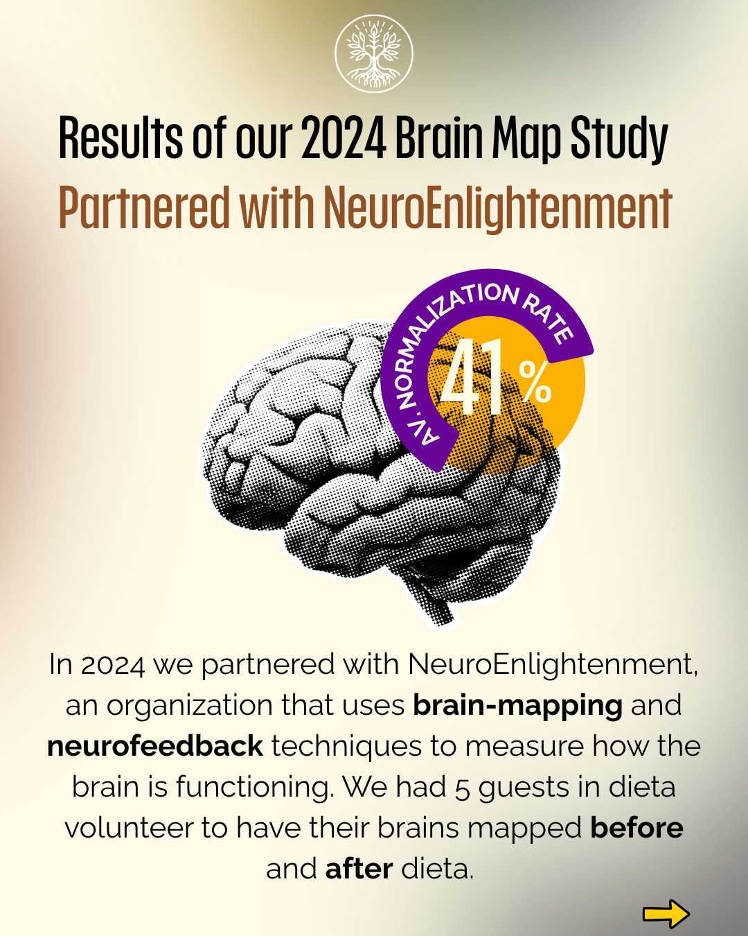 Brain Map - 2.PNG