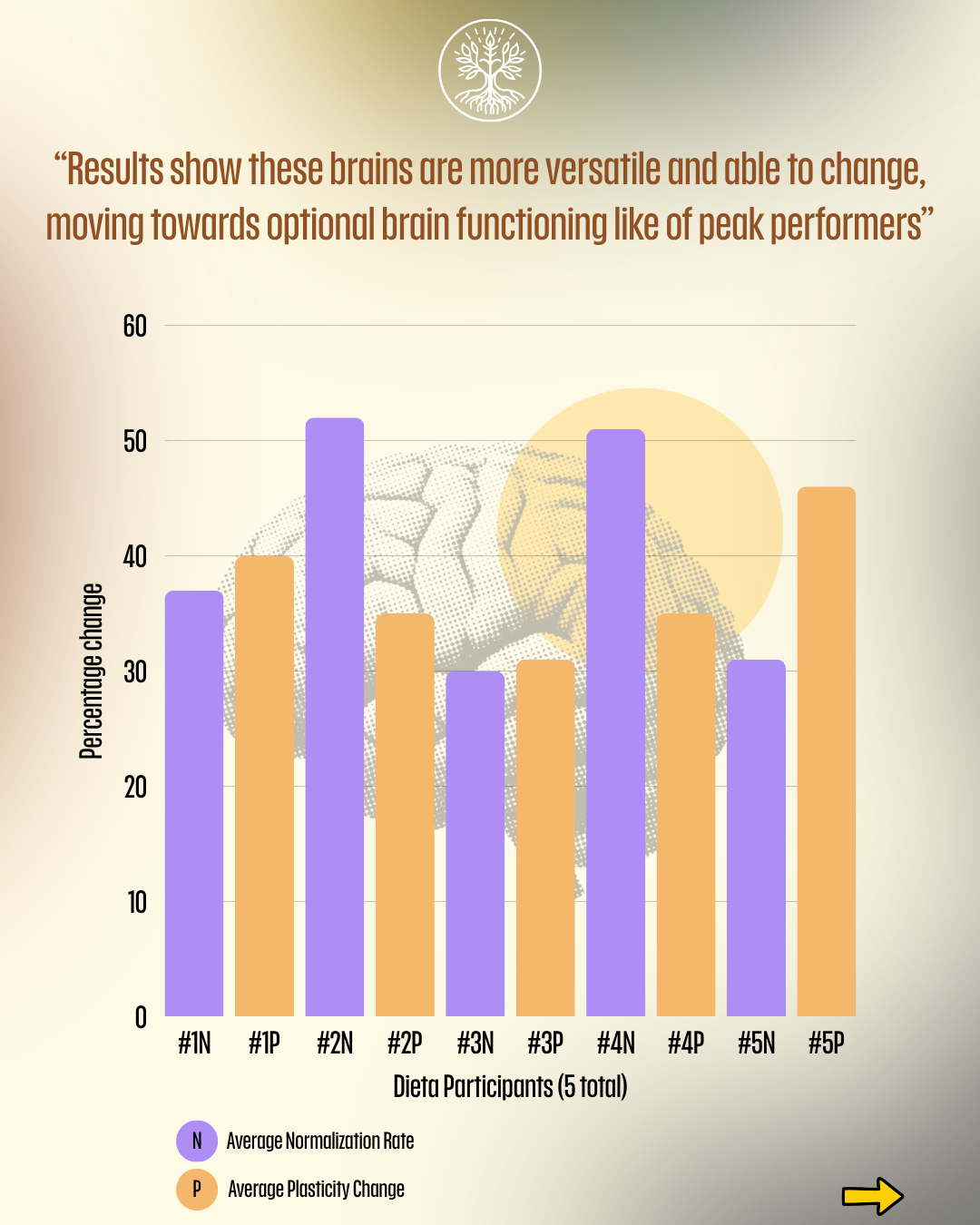 Brain Map - 4.PNG