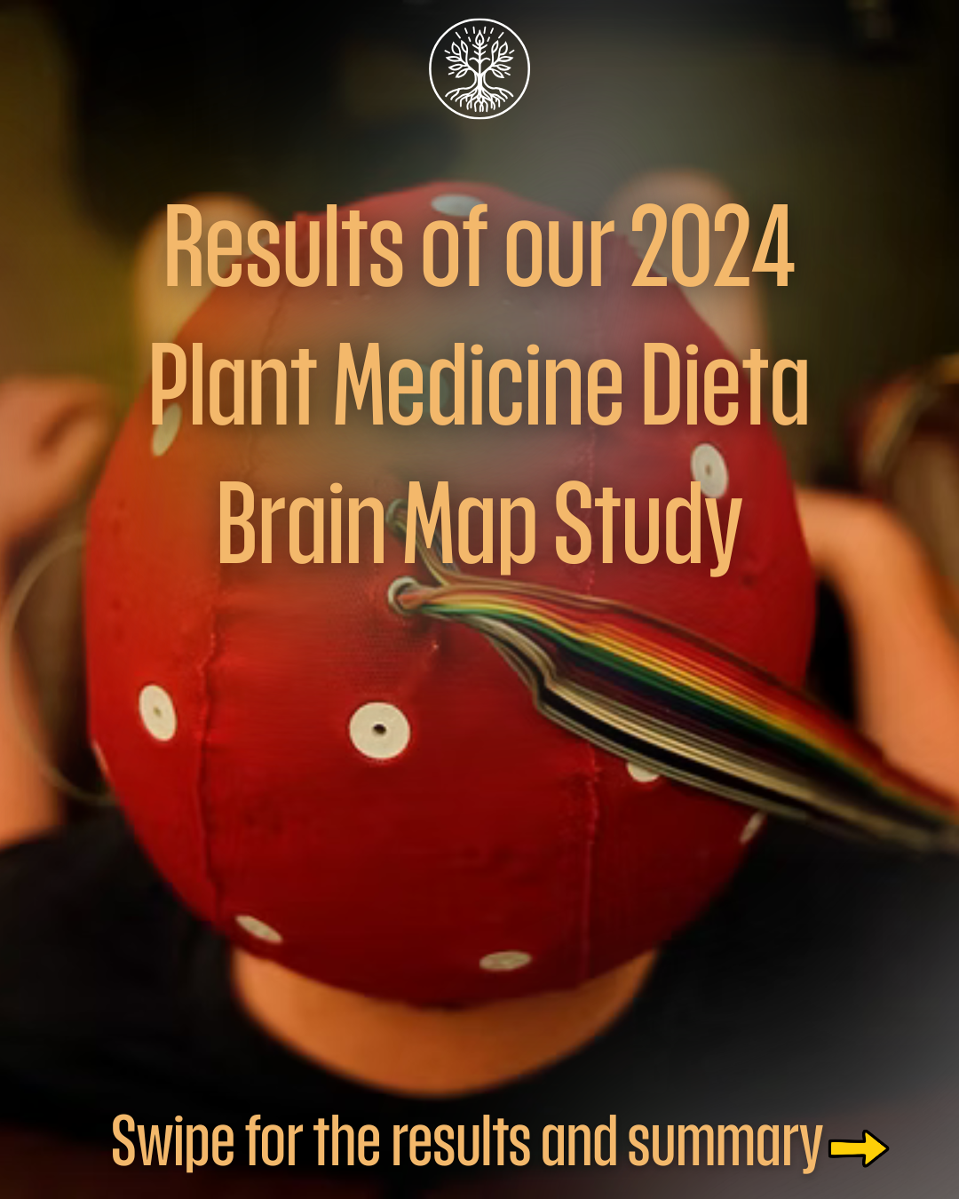 Brain Map.PNG