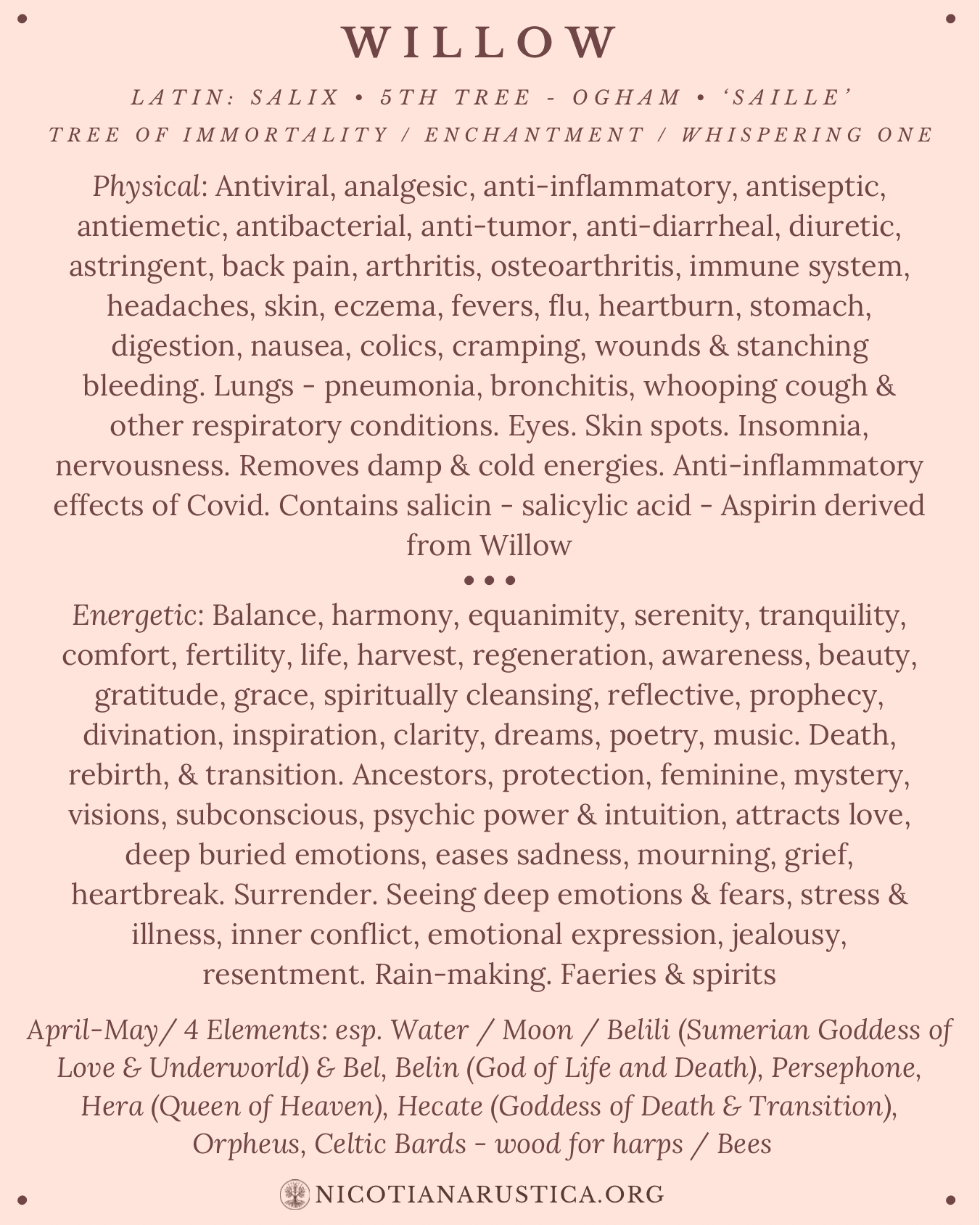 Willow Tree text (1080 x 1350 px).PNG