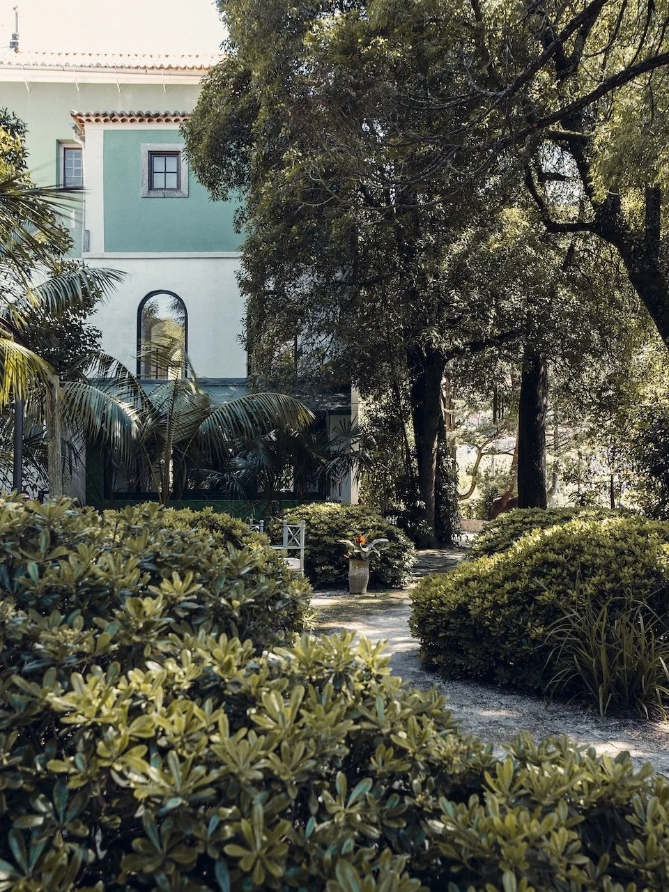 FlorestaEncantada5.jpg