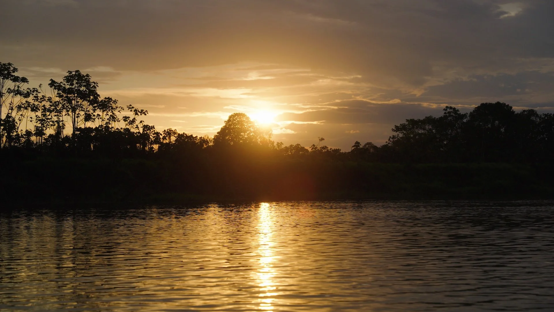 sunset on the Amazon