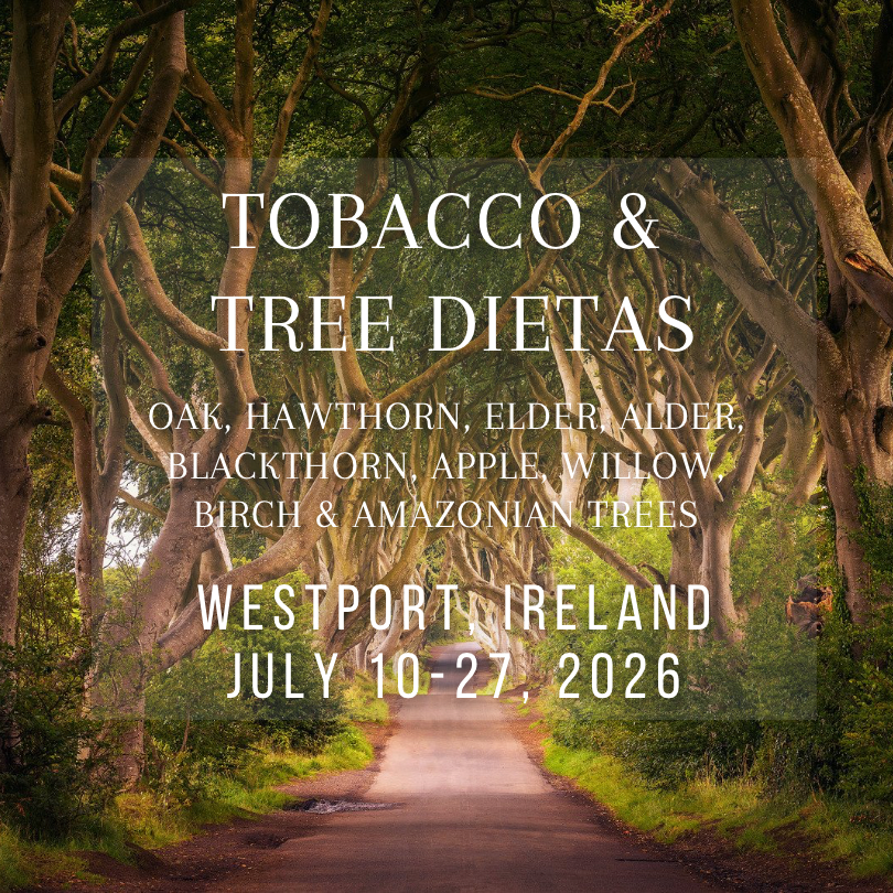 Ireland Store 2026.PNG