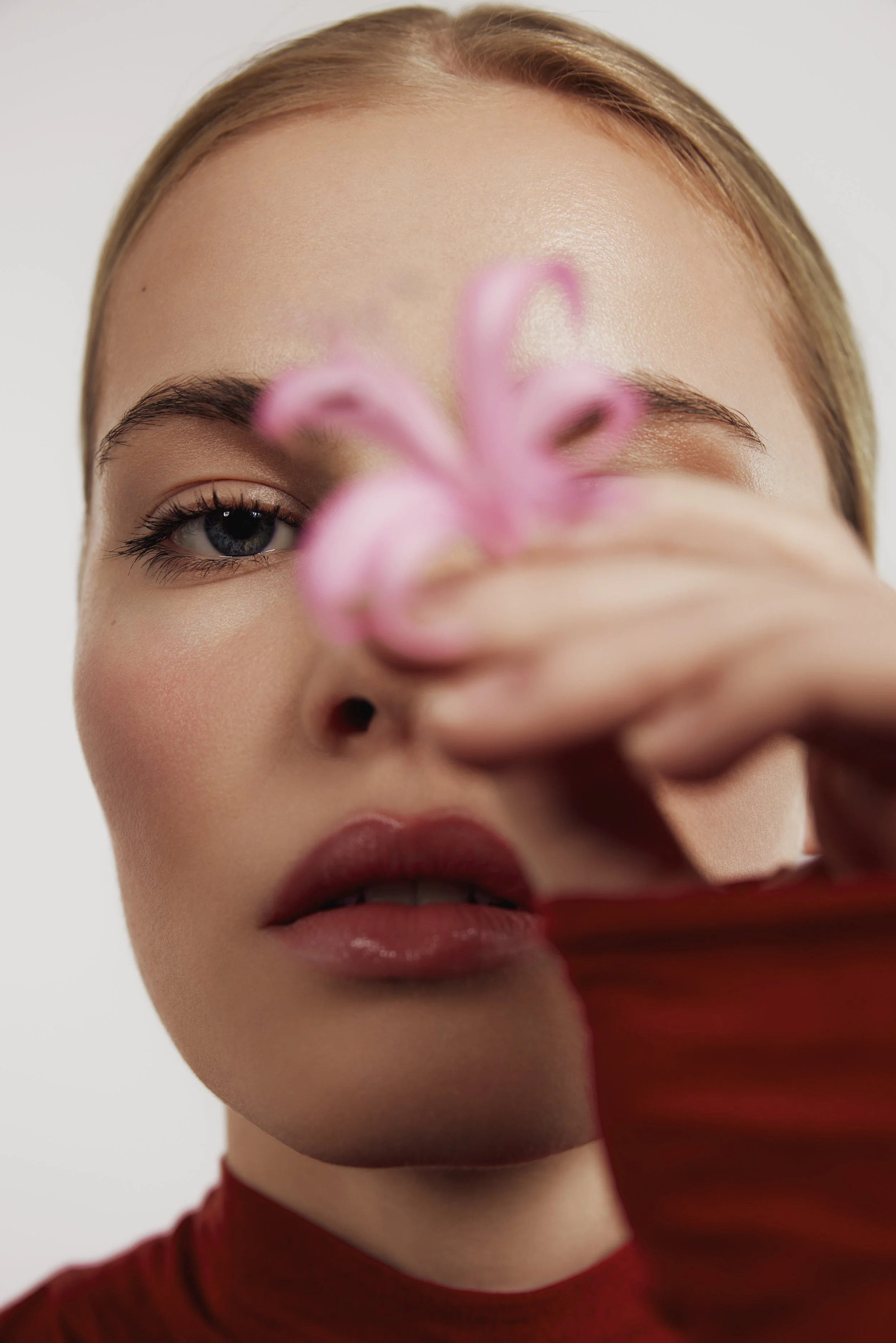 labrains_0099 1 fin.jpg