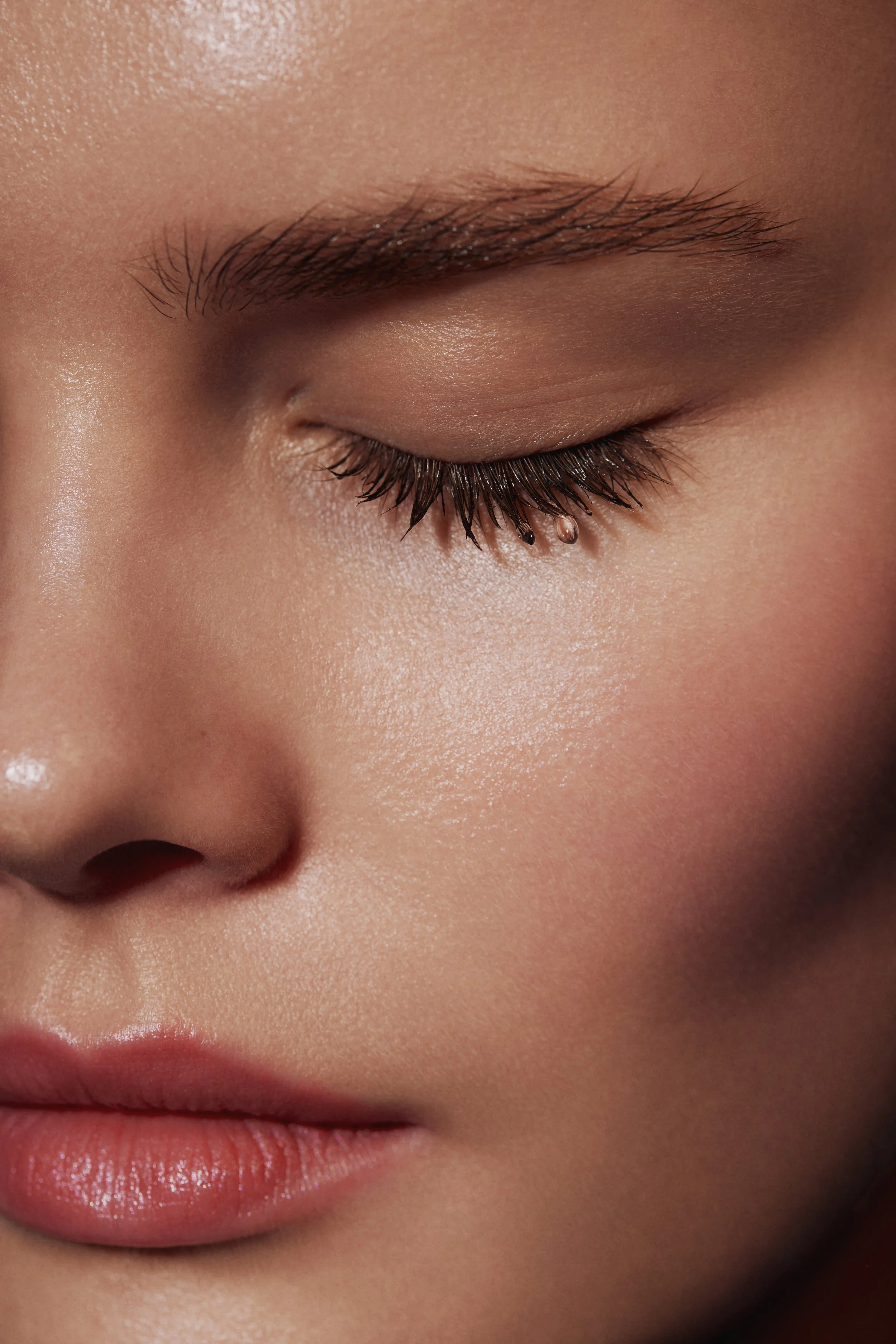 labrains_0068 2 fin.jpg