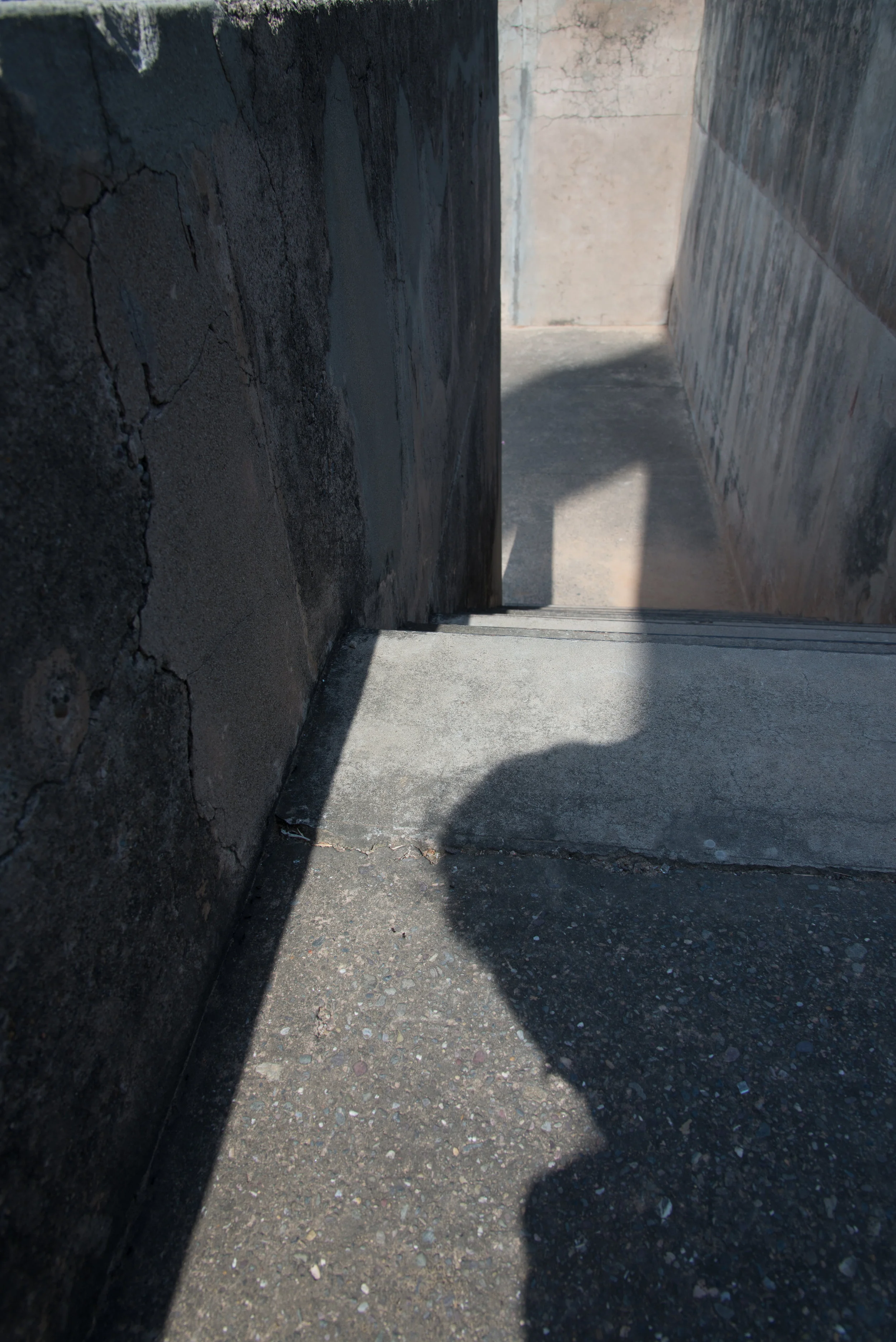 My Shadow