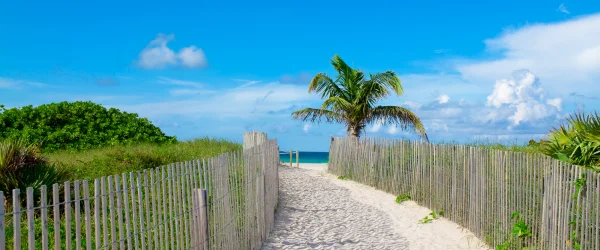 Acupuncture Insurance Made Easy