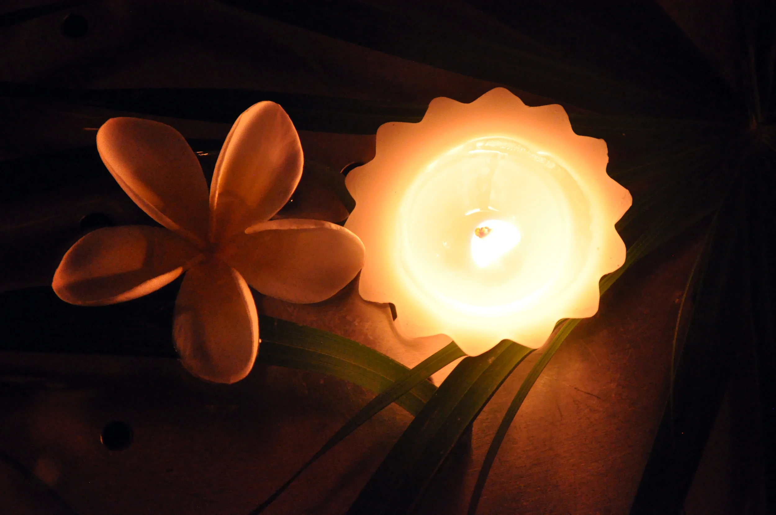 Zooming Through India--Part 1: Dahl, Devotion, and Diwali