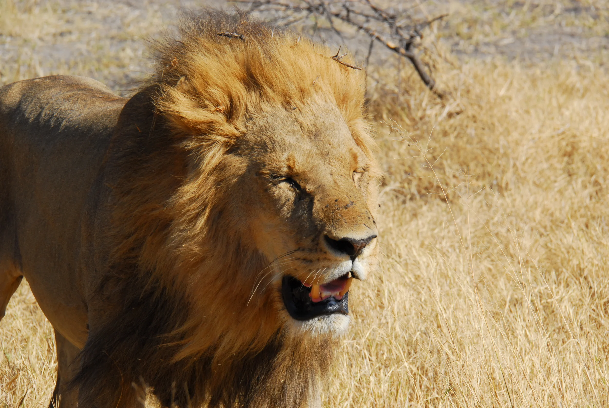 Travel Inspirations From Pop Culture