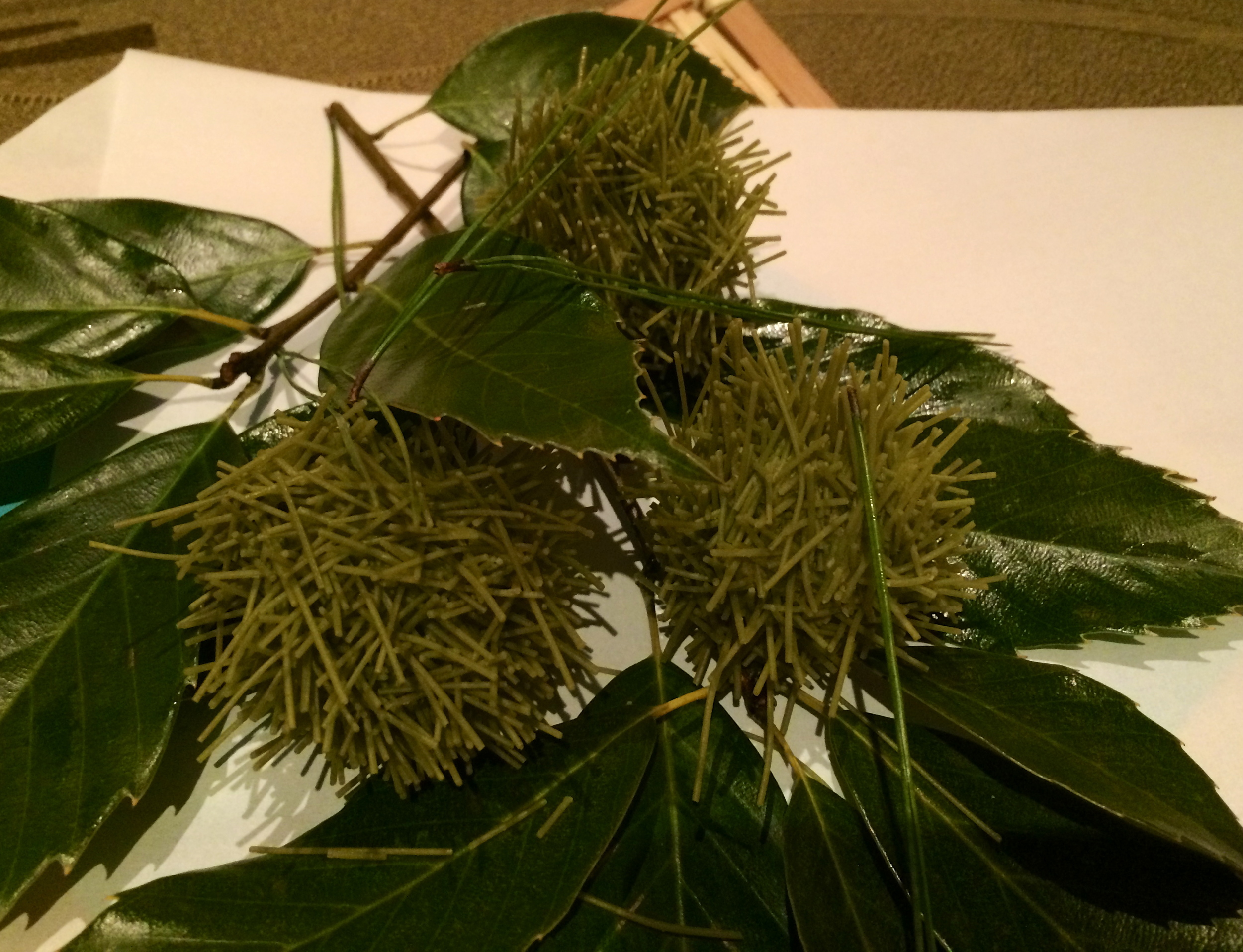 ZoomVacationsJapanGreenFood.jpg