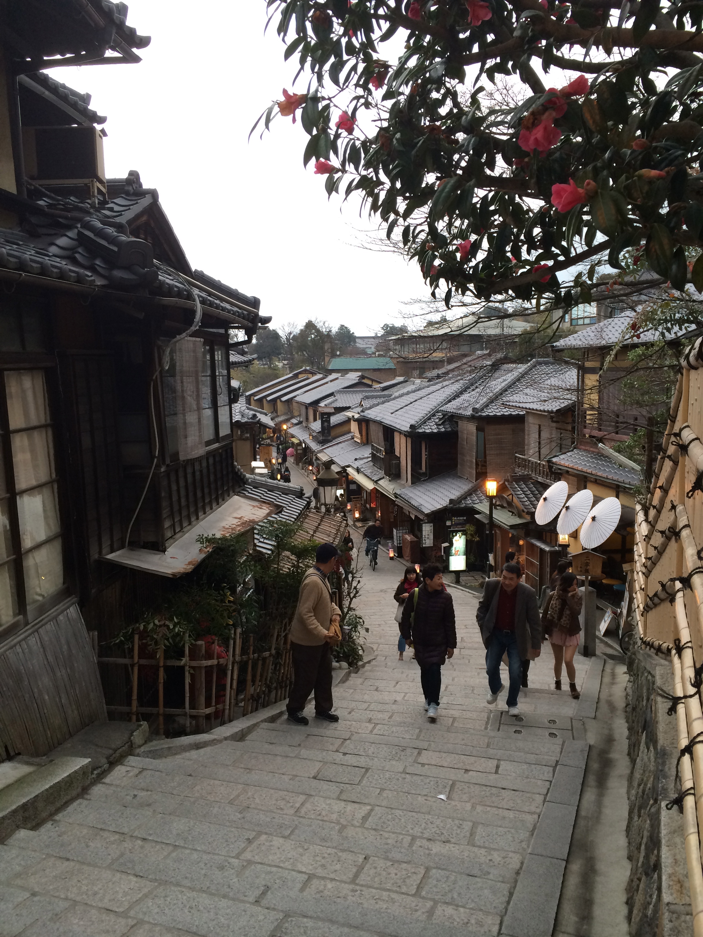 ZoomVacationsJapanVillage2.jpg