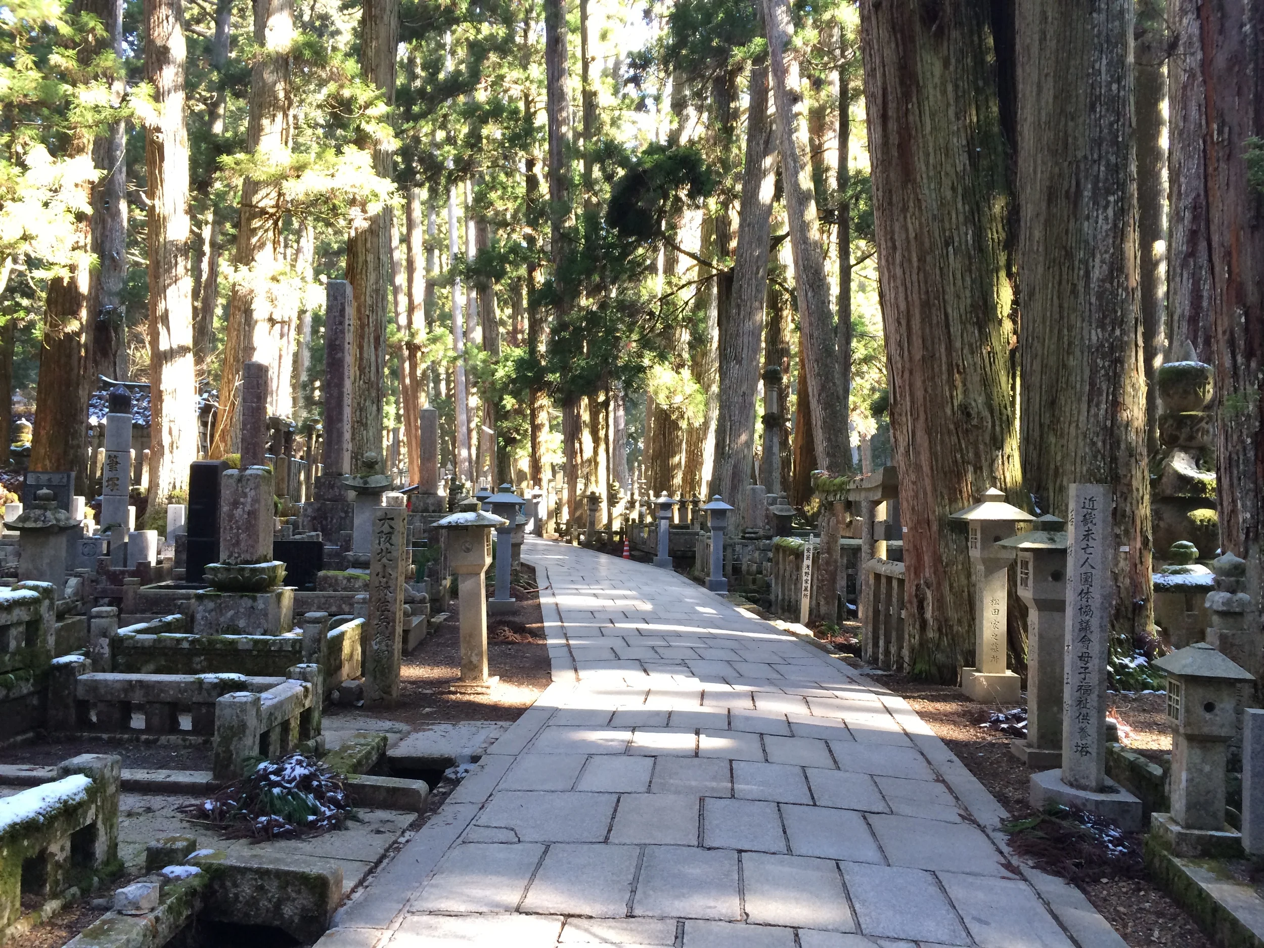You may never have heard of Mount Koya, and after going, you will never forget it.
