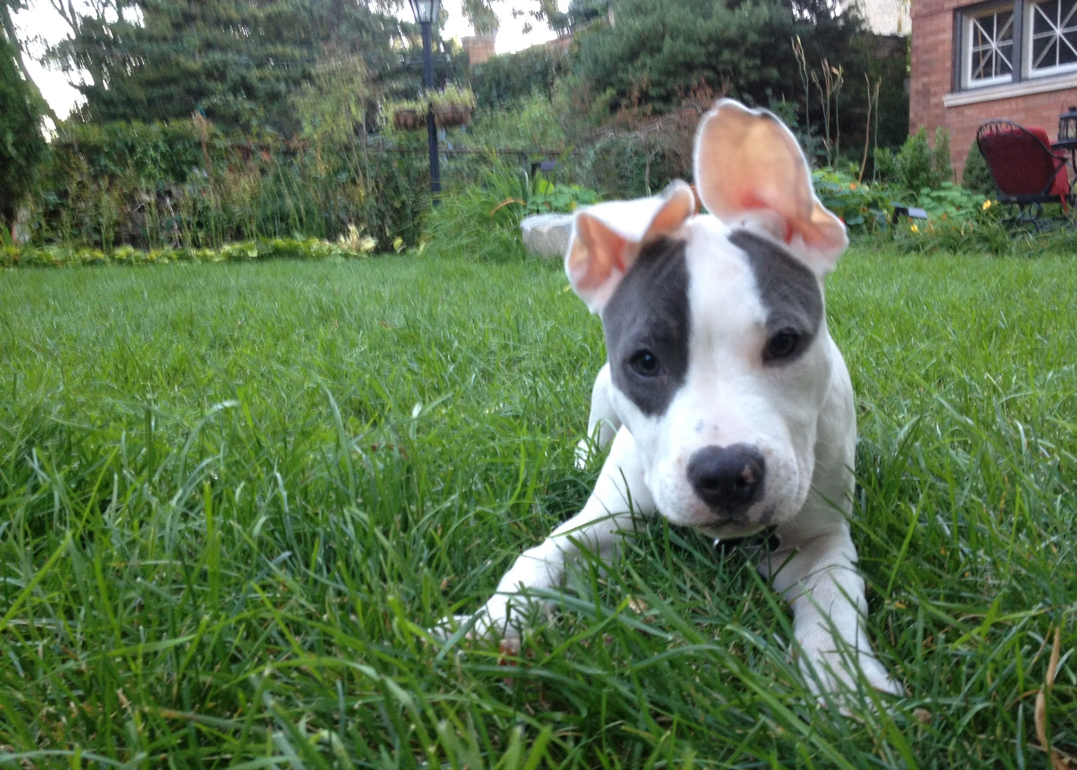 Zoom Highlights from 2014