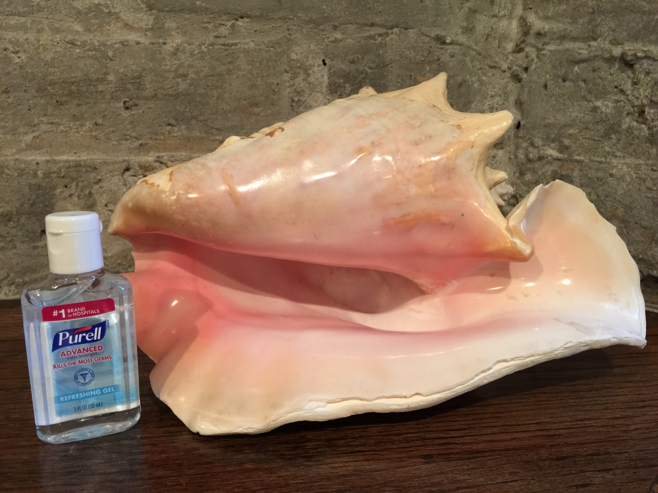 Tips to Avoiding Germs While Traveling