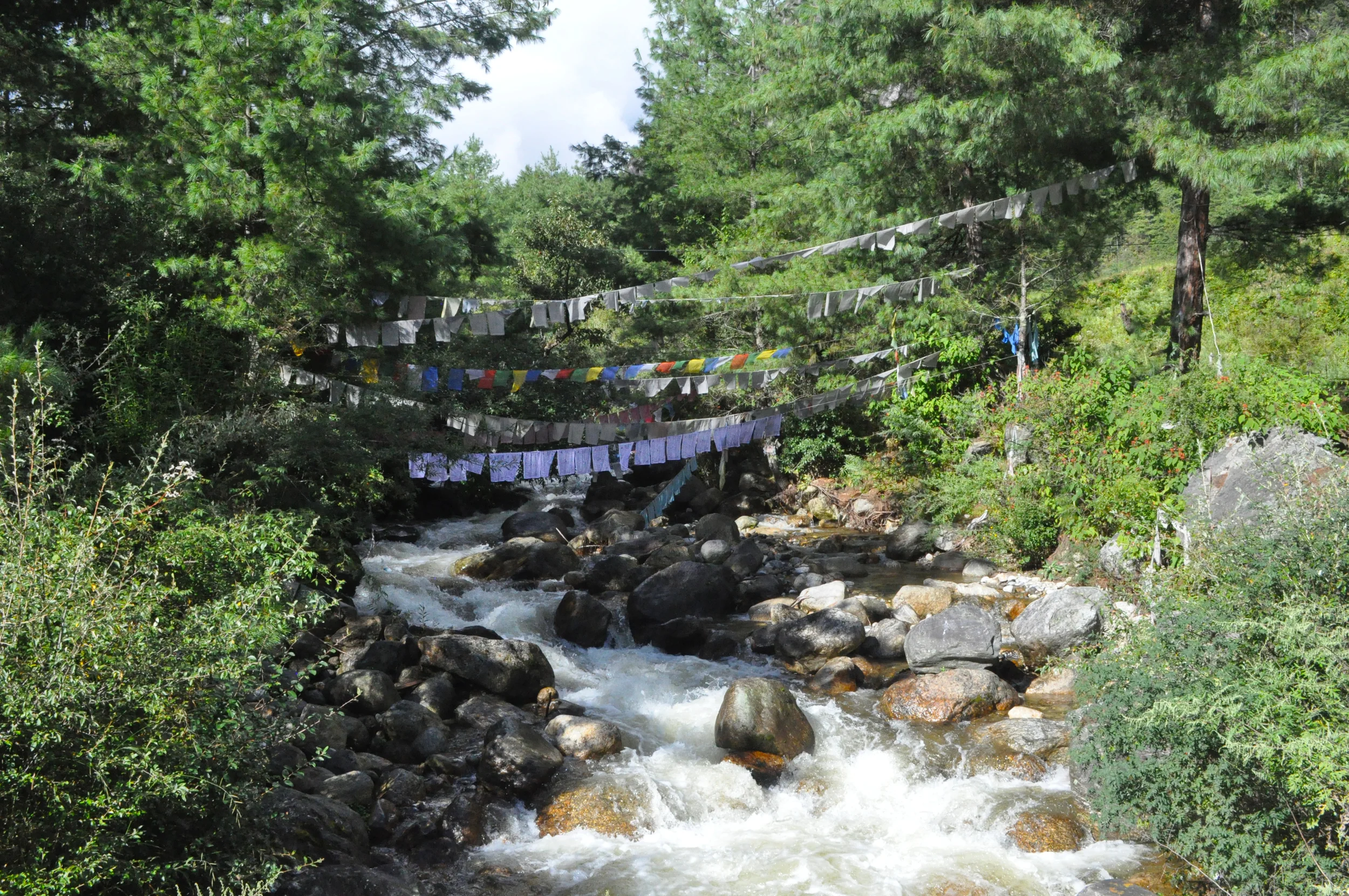 Travel: Your Weapon Against Fear