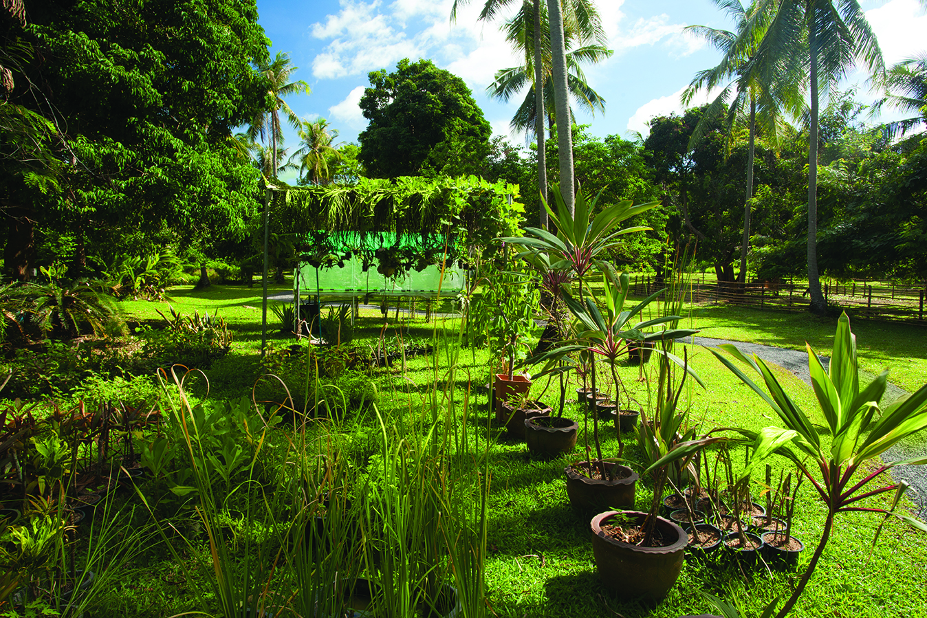 SmallerNAP-EXT-GDN-07.jpg