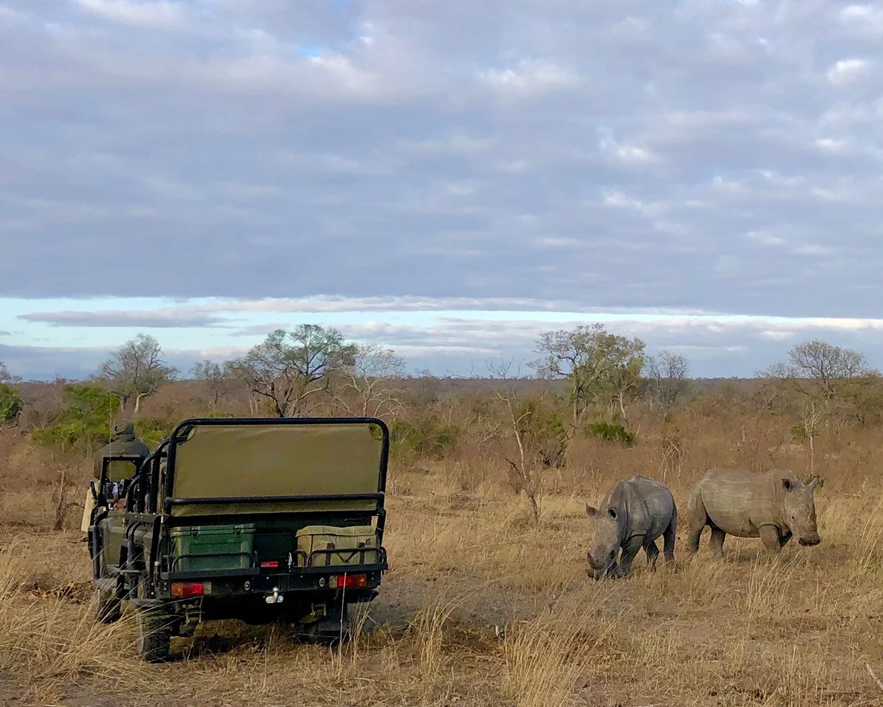 Zoom Gay Southern Africa