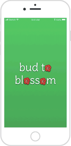 bud-to-blossom-flow-1.gif
