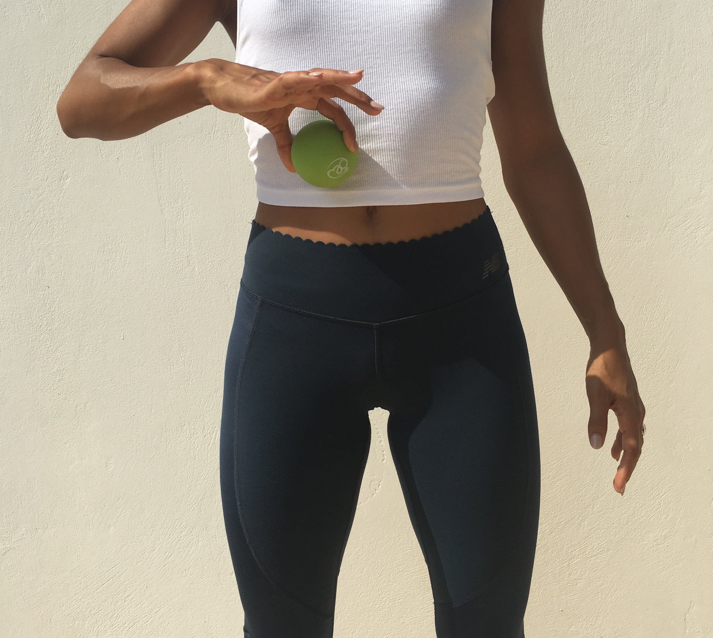 Rectus Abdominus area
