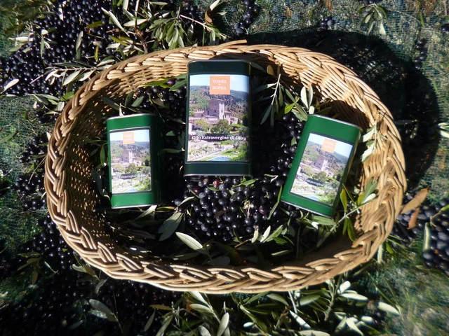 olio cestino 3.jpeg