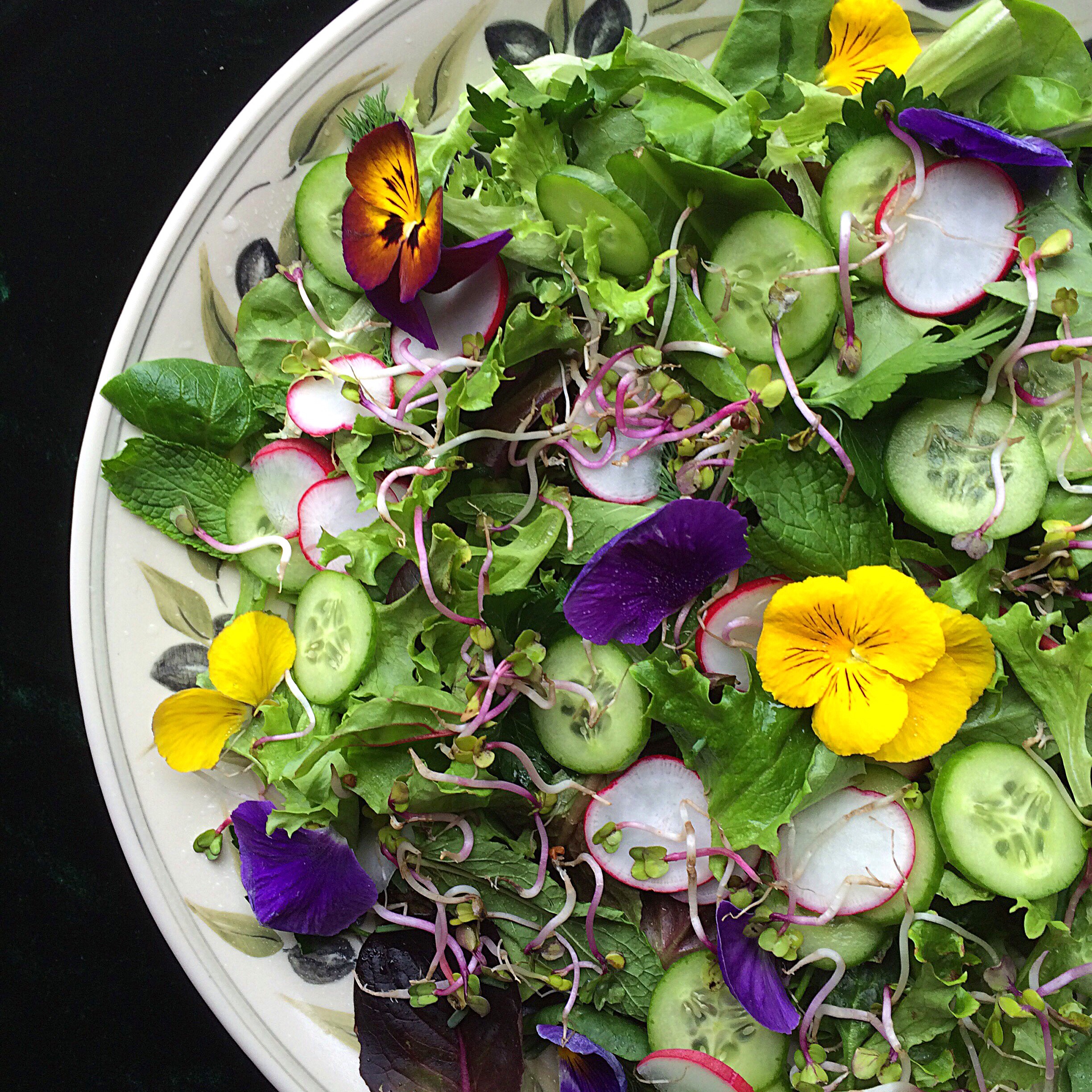 Persian Spring Salad