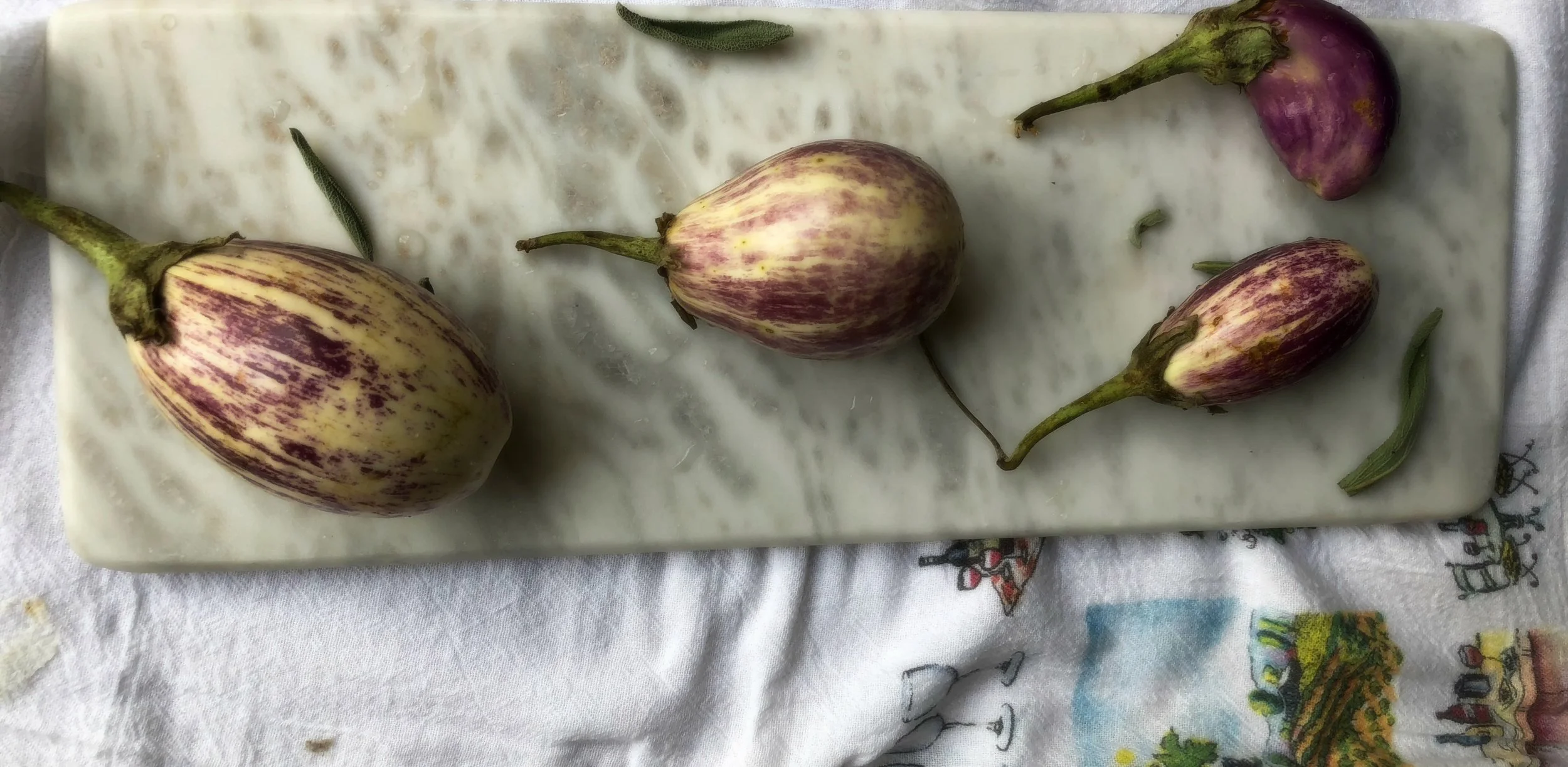 ©Four Eggplants by Dena T Bray.jpg