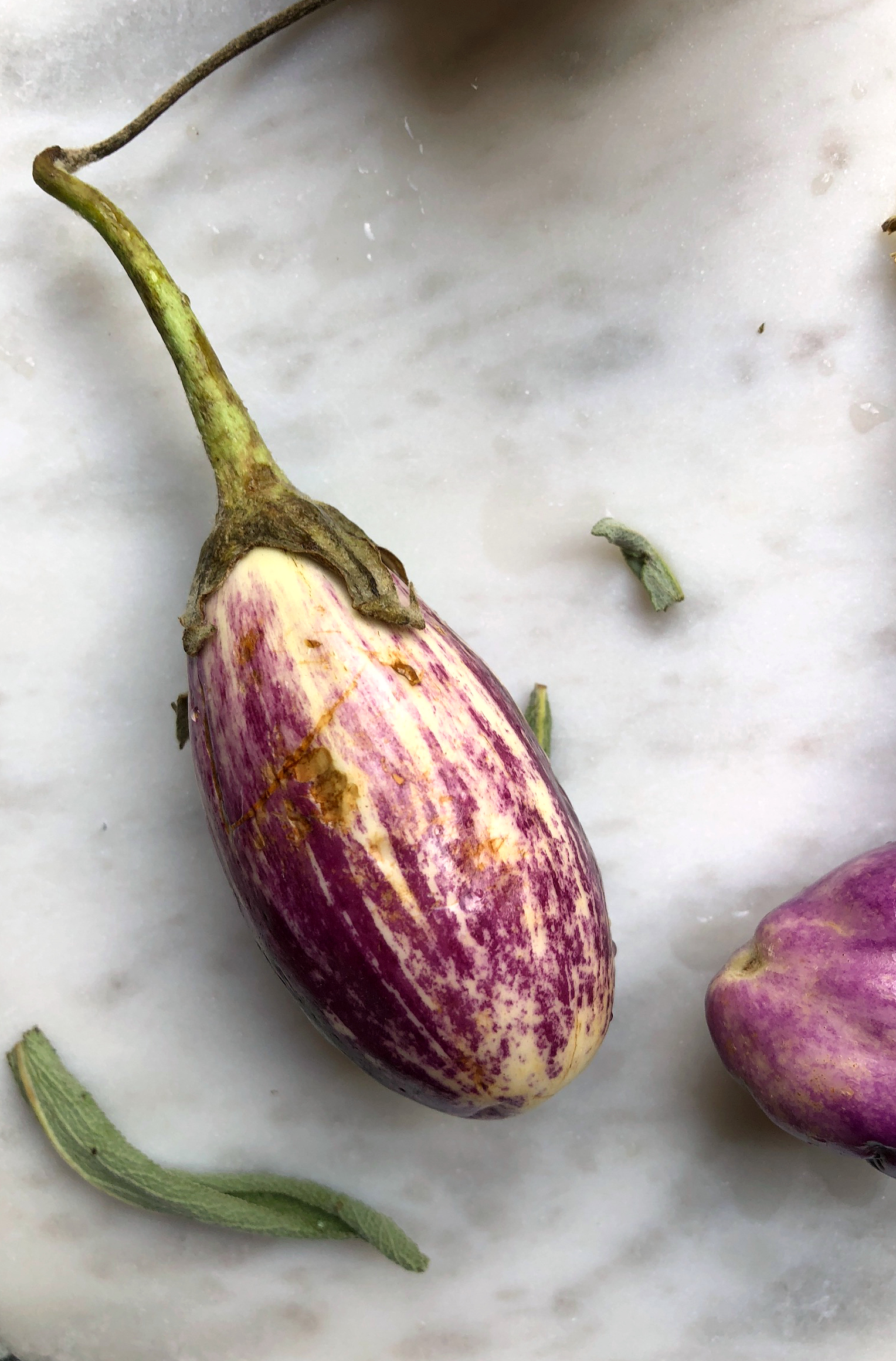 ©Small Eggplant by Dena T Bray.jpg