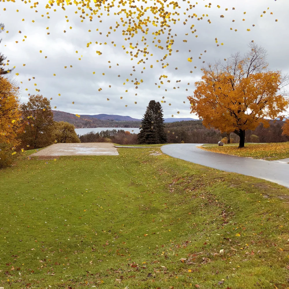 ©Golden Tree with Confetti by Dena T Bray.JPG