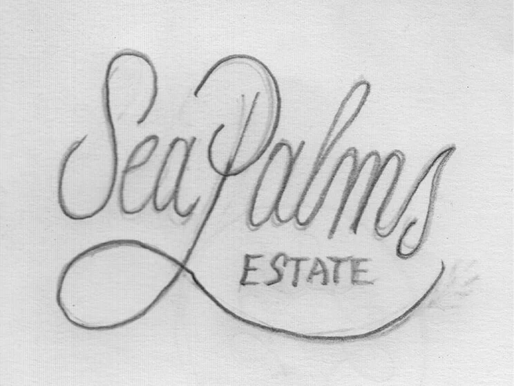 sea-palms-sketch.jpeg