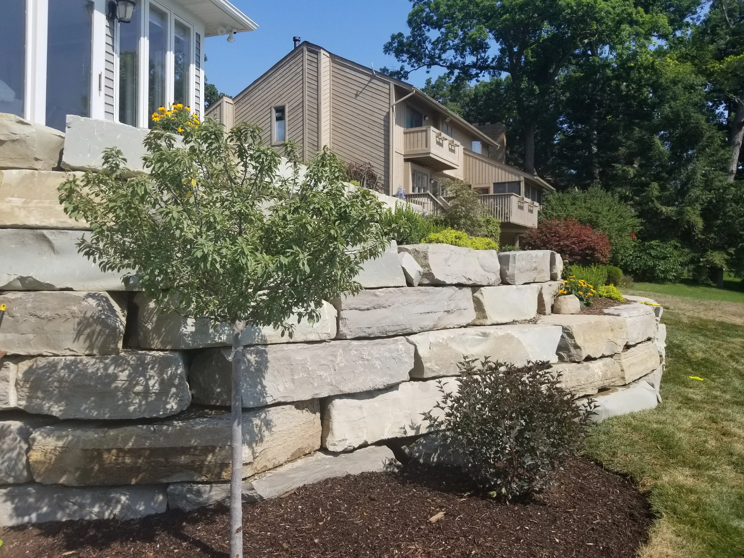 20180813_112438.jpg