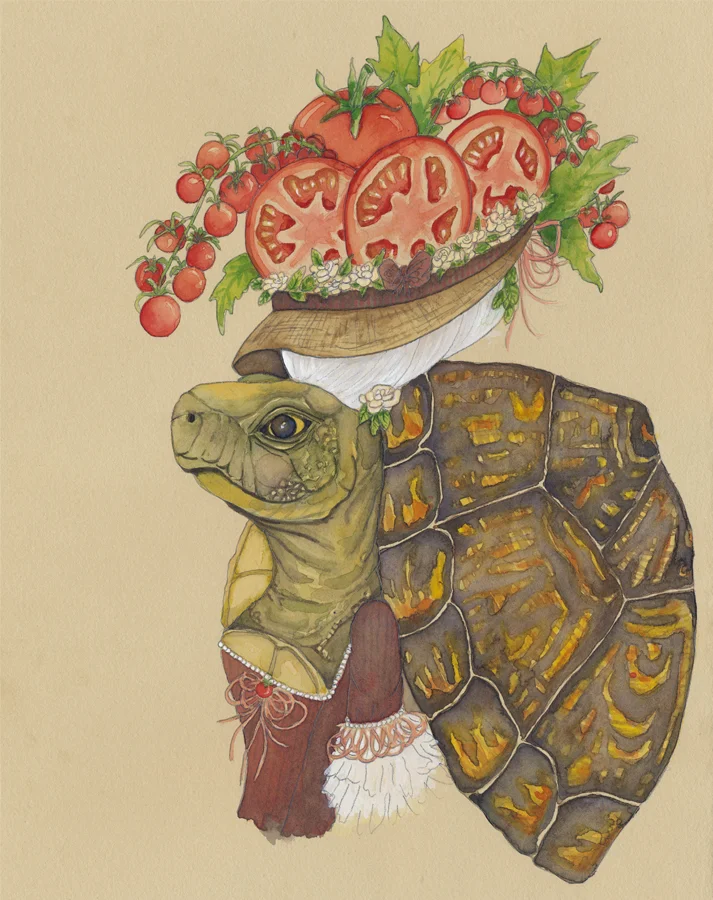 Tortue_8x10_website_no_text.jpg
