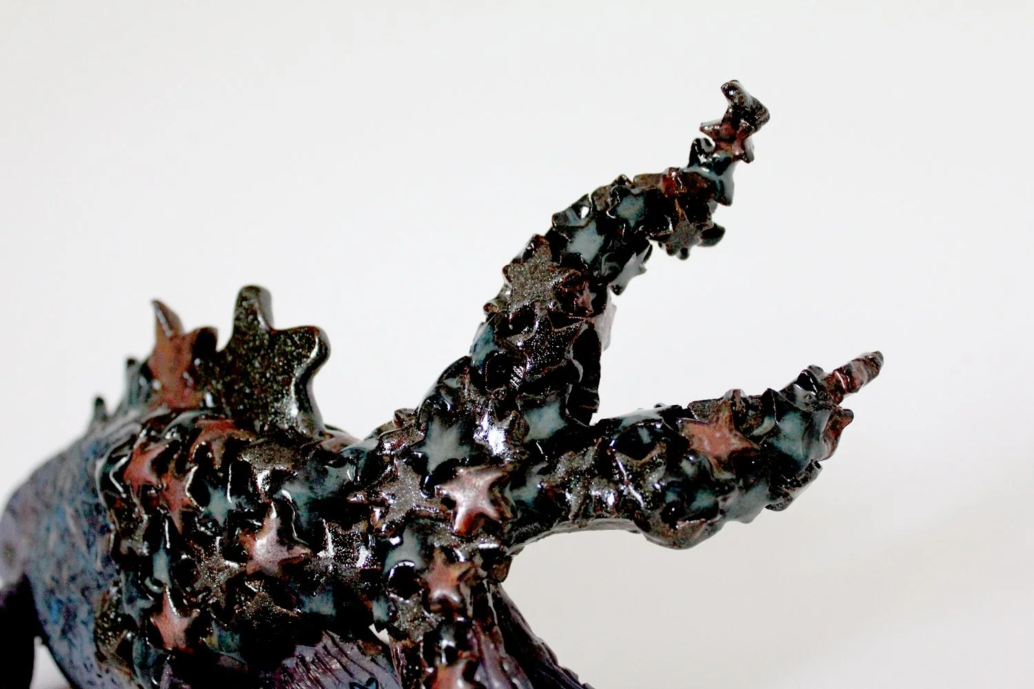 StarFish3.jpg