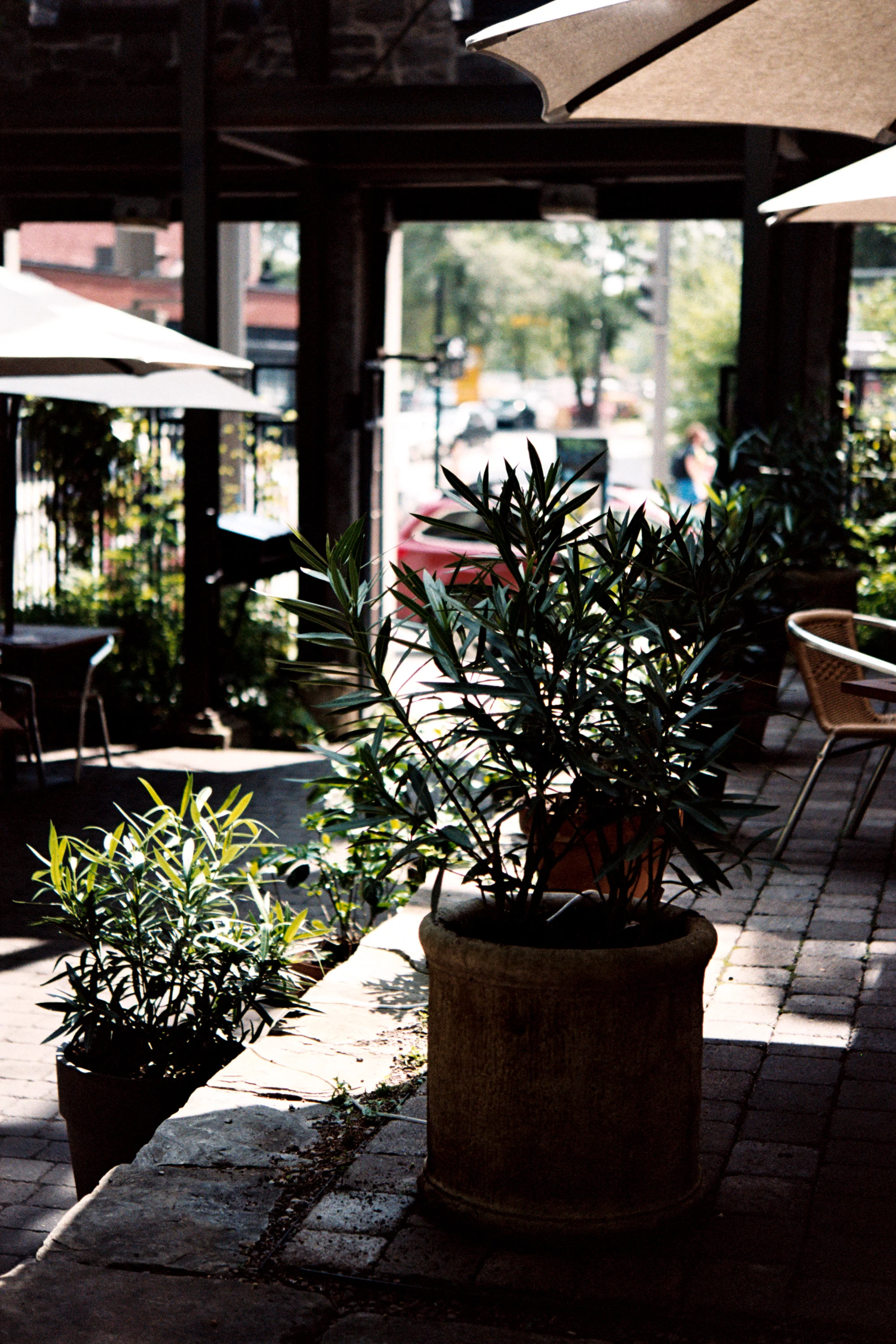 montreal-0076.jpg