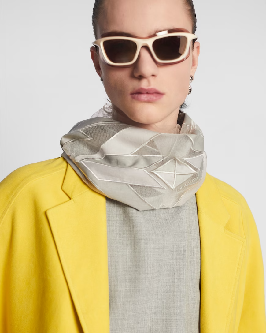 dior fall 23 scarf.png