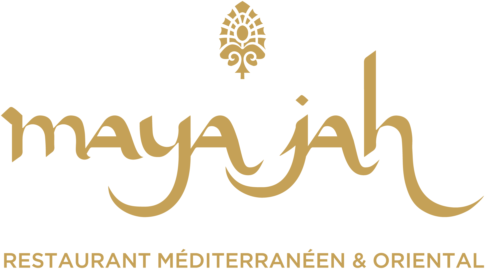 logo_mayajah_or_restoM&O.png