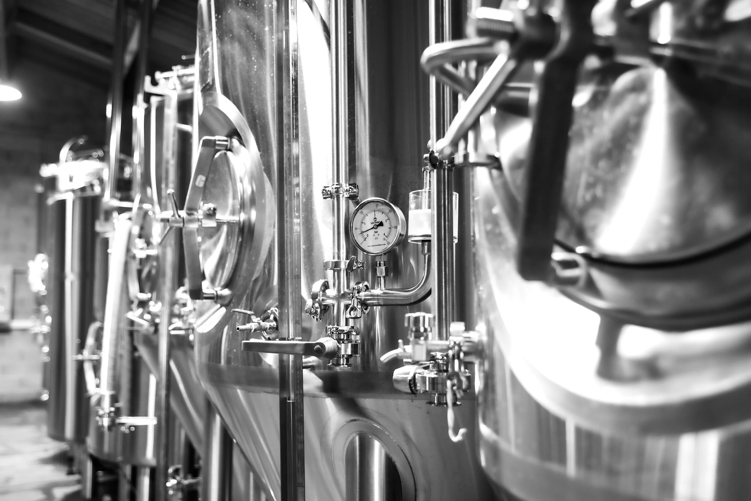 A New Small Batch Brewery Launches on the French Riviera - the Gekko Brewing Company Based in Fayence  - Borne From a Love of Craft Beer and Friendship