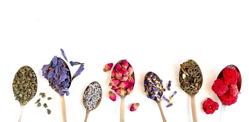 Feel Good Fridays with Metabolic Balance - The Power of Aromas and Fragrances for the Body and Soul