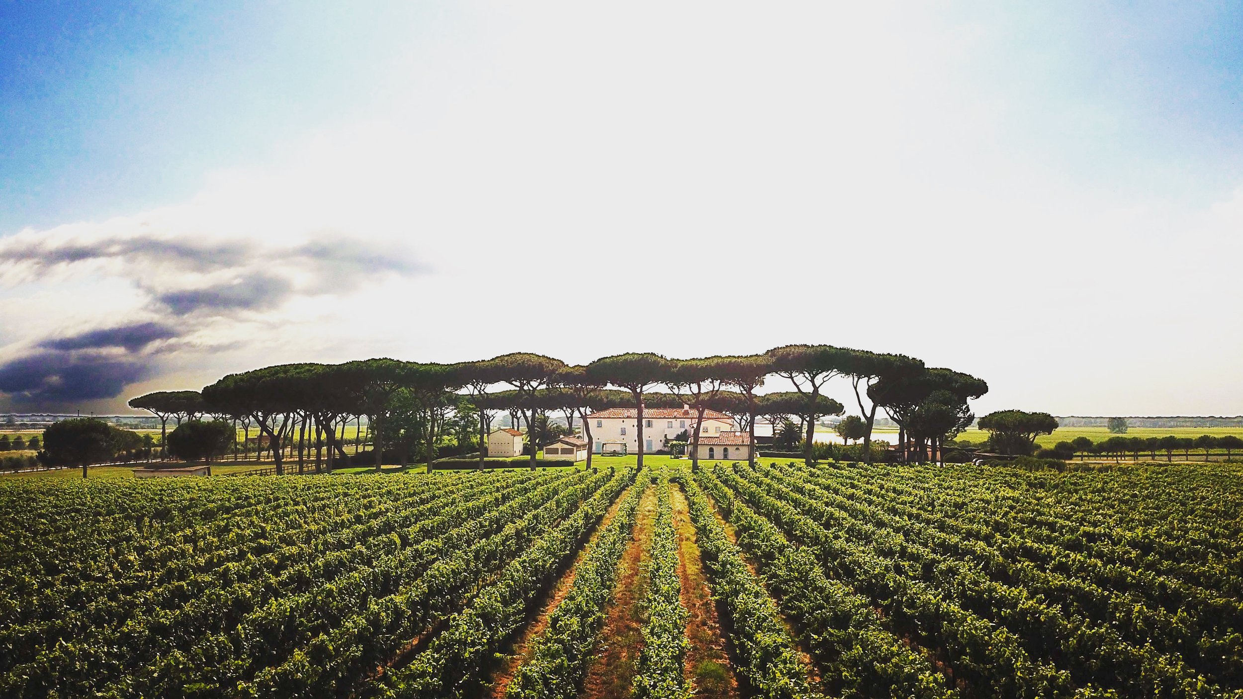 Tuscany Wine Experience - Monaco Best Business Networking Luxury Event Club