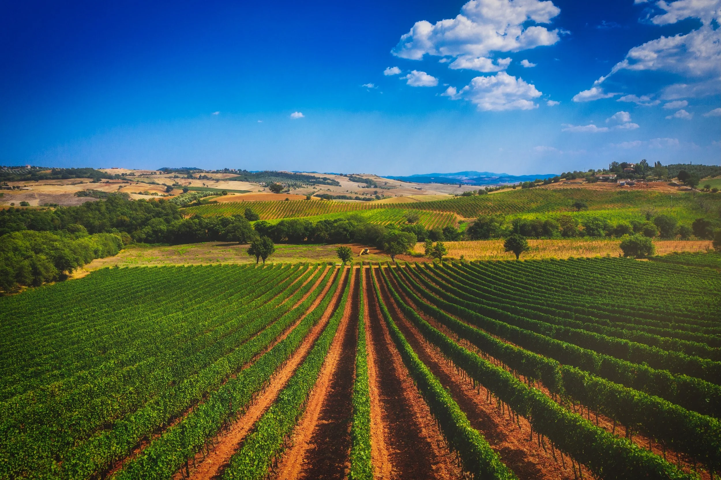 Discover Tuscanya Estate with Le Marquis Luxury - Tuscany’s Eco-Luxury Jewel