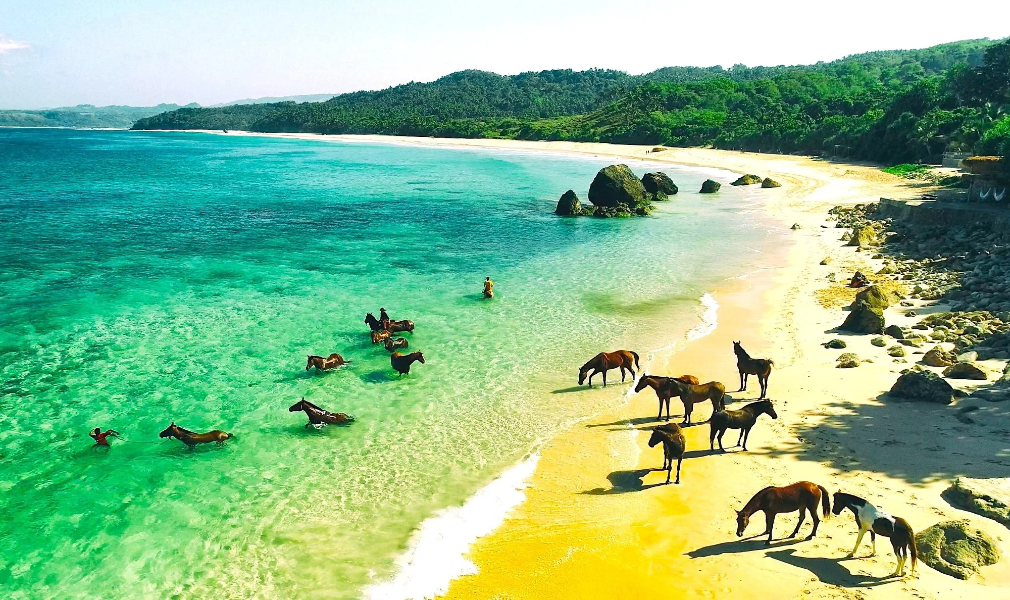 Discover Paradise on Sumba Island in Indonesia with Immanent Travel