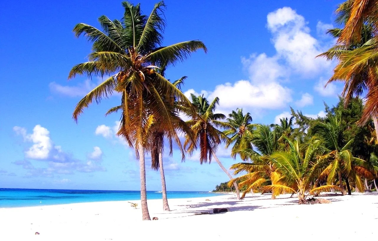 February with NTL Trust: The Peak of the Caribbean Season Extending into Spring 