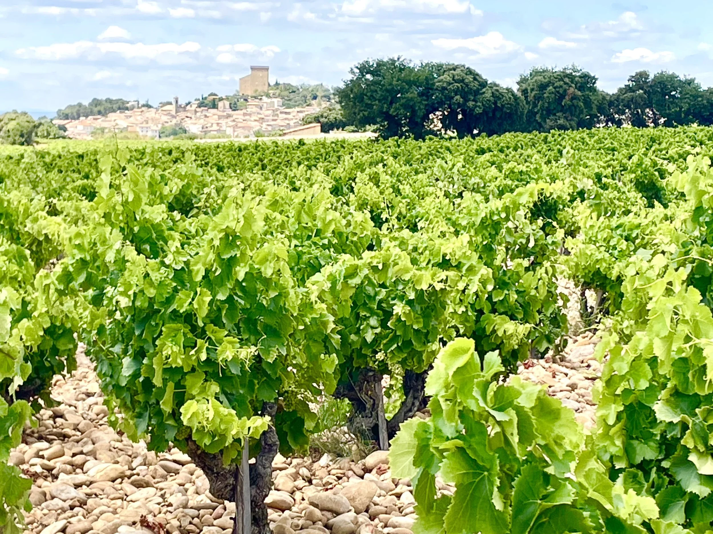 Châteauneuf du Pape.jpg