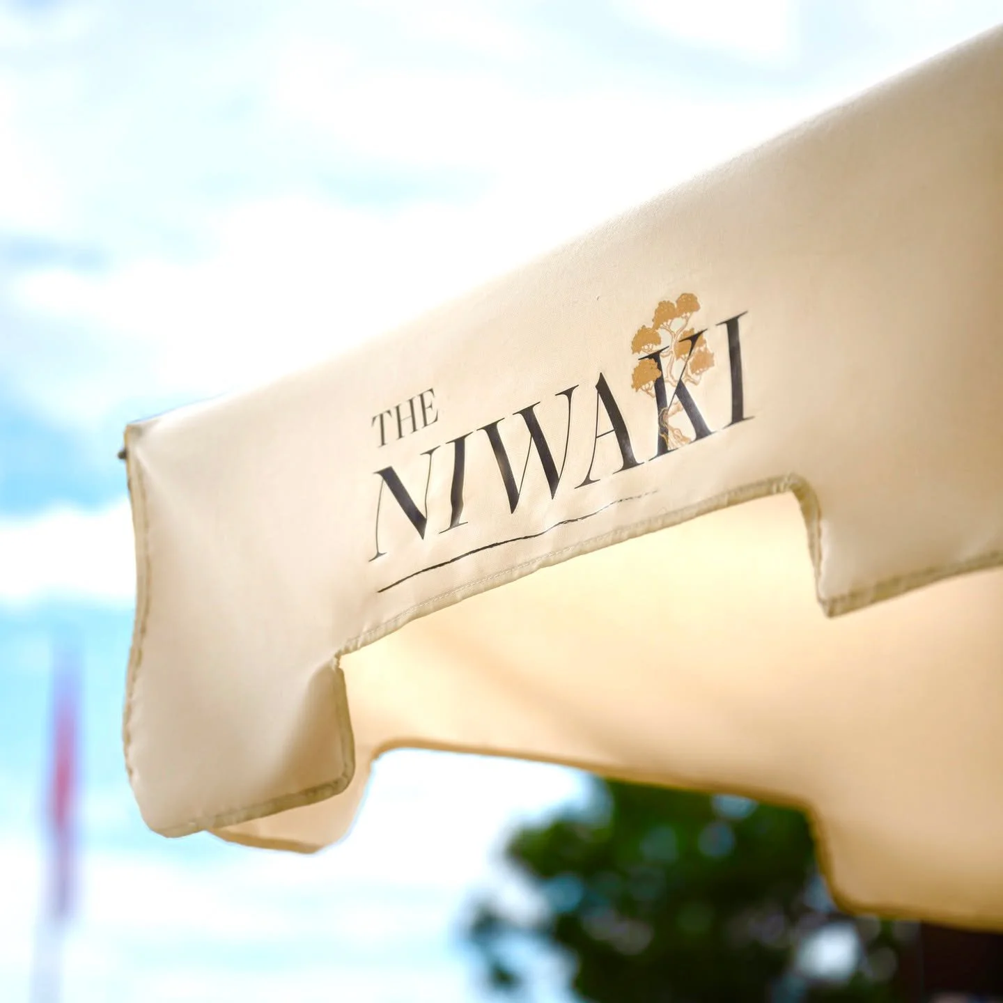 🇦🇺 Australian Ambassador to Monaco Attends The Niwaki Australian Association Networking Cocktail 

On Wednesday 17th September and in the presence of H.E. Lynette Wood, Australian Ambassador to France and Monaco, the Australian Association of Monac