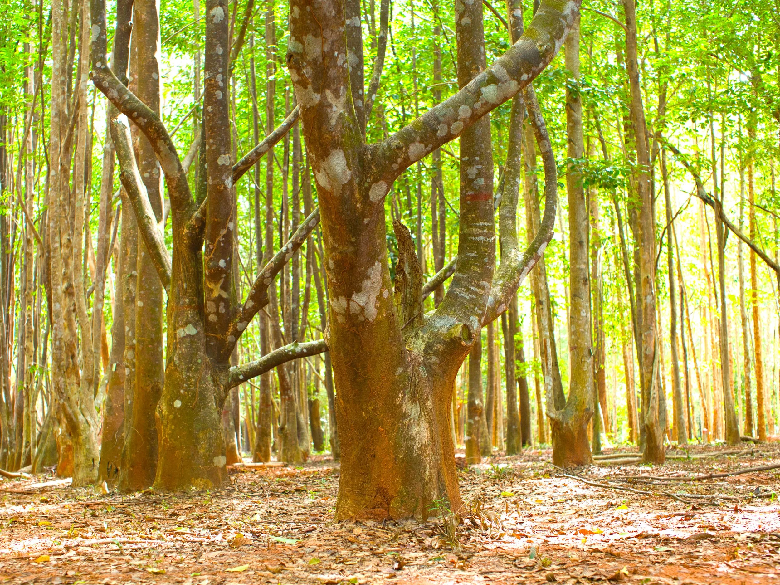 AdobeStock_1501518011.jpeg