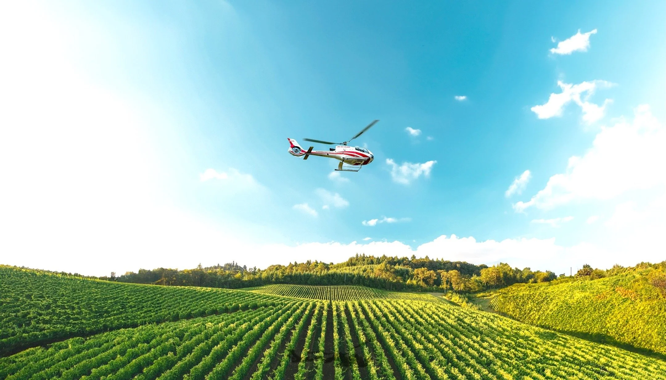 🚁 Trending Partner Article: Clara Private Jet Experience: A Sensory Journey into the Heart of Truffles &amp; Barolo

Read more online at our digital magazine:
https://www.clubvivanova.com/news-highlights/clara-private-jet-experience-a-sensory-journe