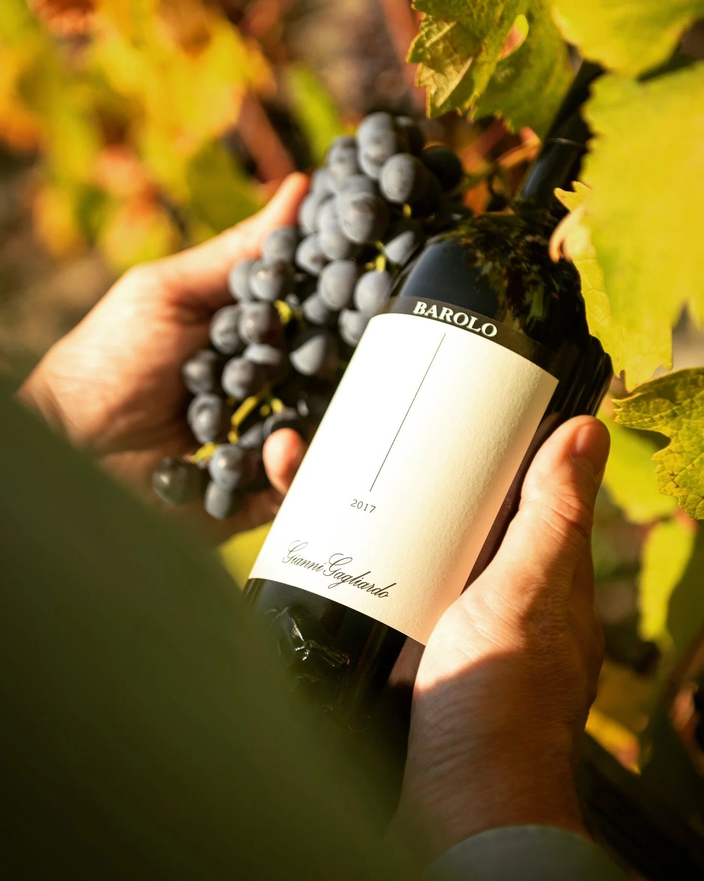 🇮🇹 Don&rsquo;t miss this Wednesday at Avenue 31 Monaco!
An unforgettable evening of fine Barolo wine and Piemonte cuisine awaits. 

Join Club Vivanova and special guest Stefano Gagliardo for an exclusive five-course gourmet dinner, perfectly paired