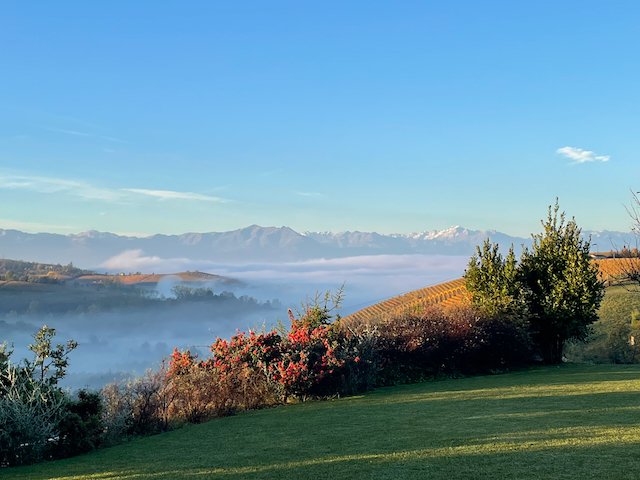 Maestro Tours: Where Fine Wine, Extraordinary Places &amp; Unforgettable Moments Meet