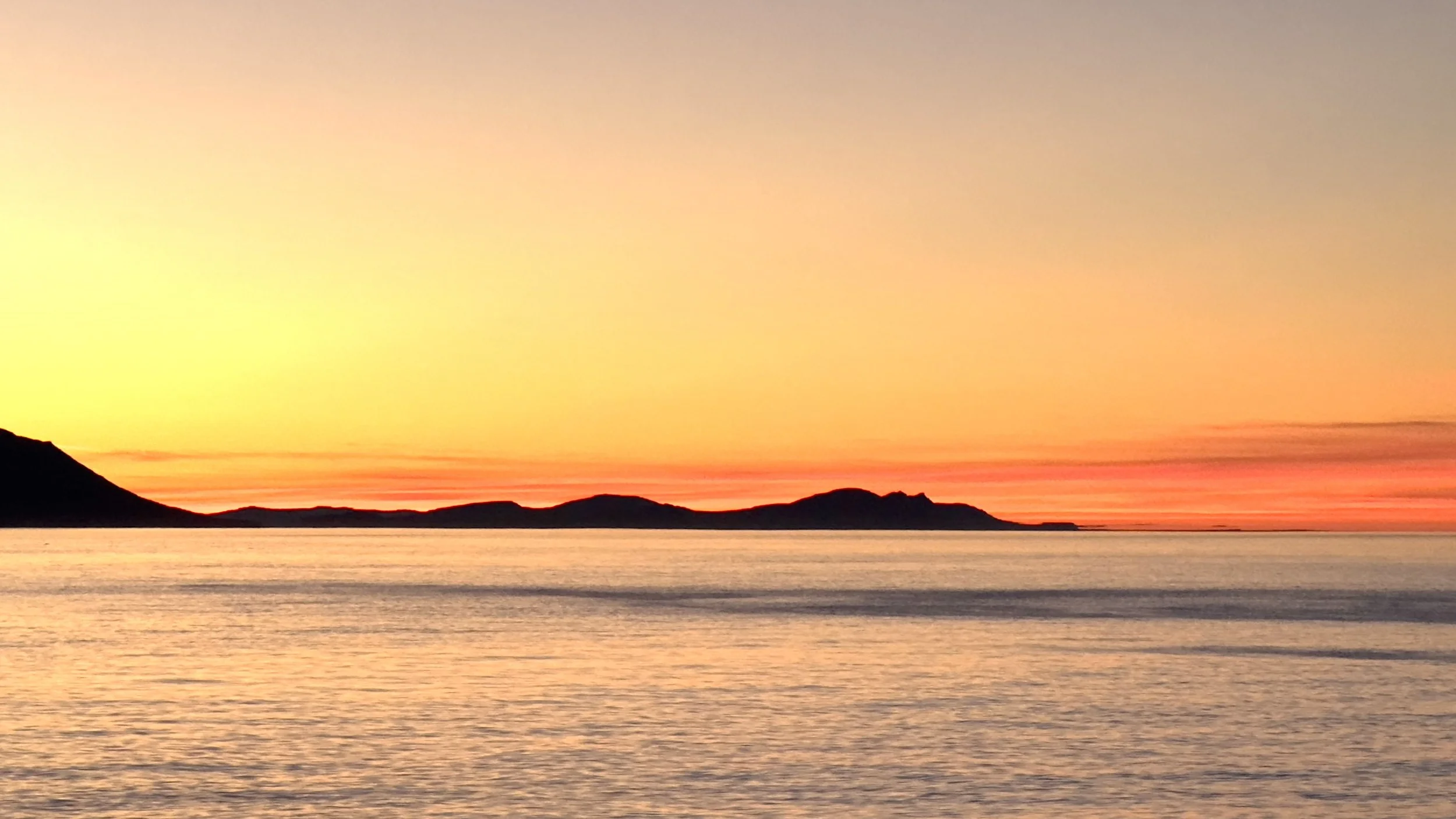 Maas Mentoring: A New Year Begins with Orientation Before Momentum 