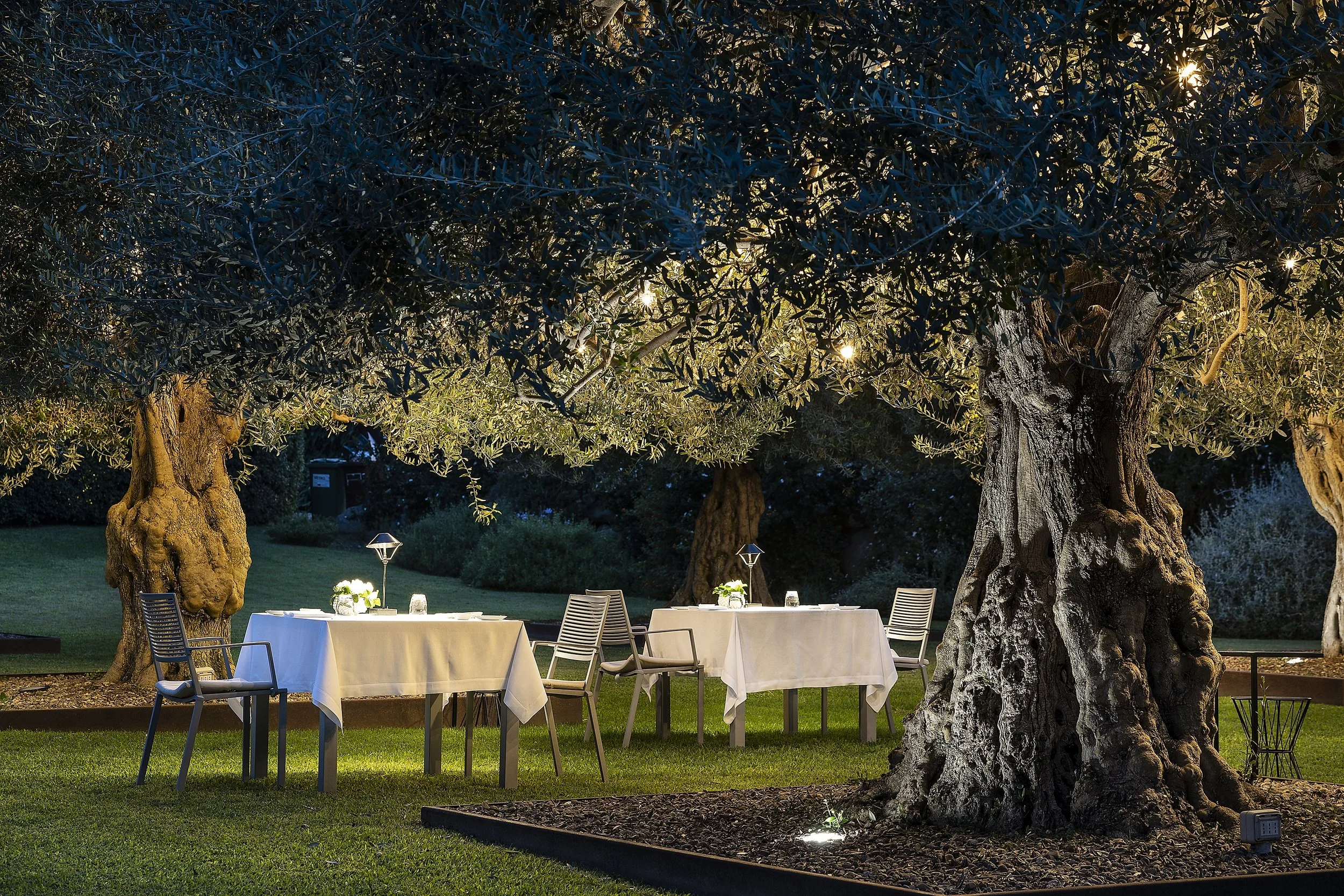 La Cucina di Donna Carmela .jpeg